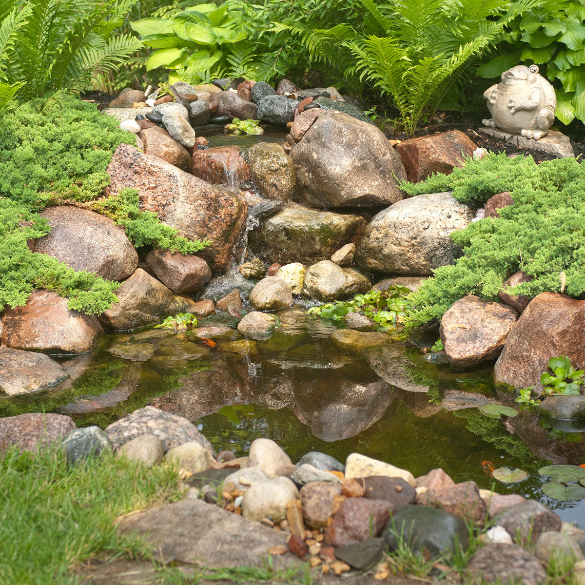 DIY Backyard Pond Kit 8' x 11'