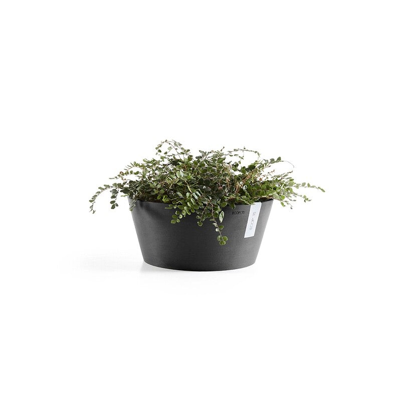 Frankfurt 40 Dark Grey