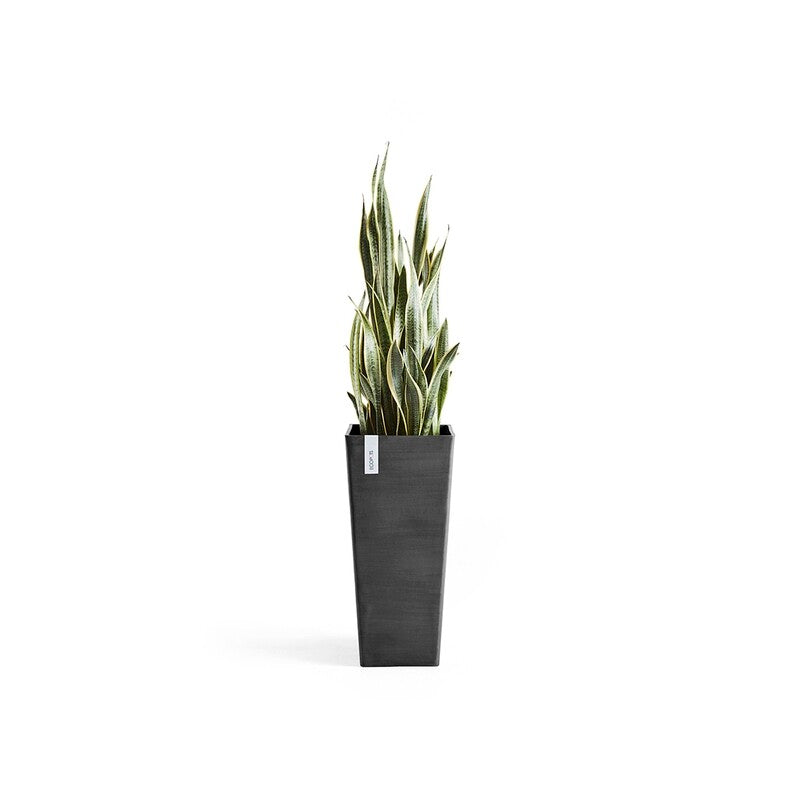Rotterdam High 70 Dark Grey