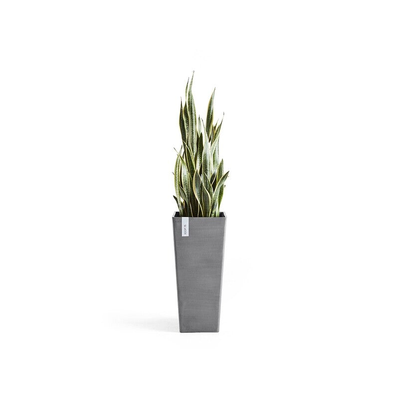 Rotterdam High 70 Grey