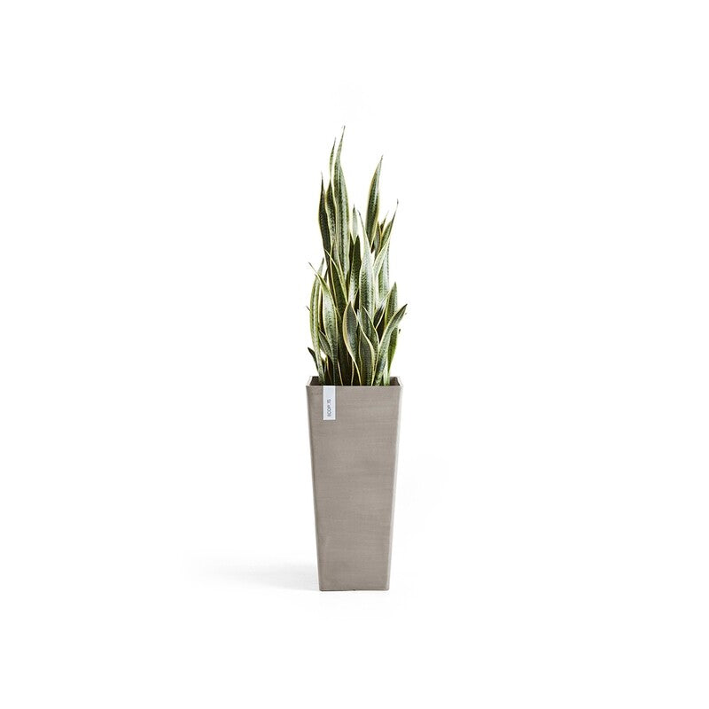 Rotterdam High 70 Taupe
