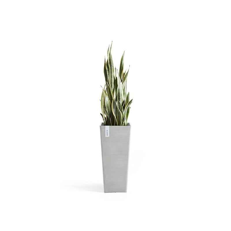 Rotterdam High 70 White Grey