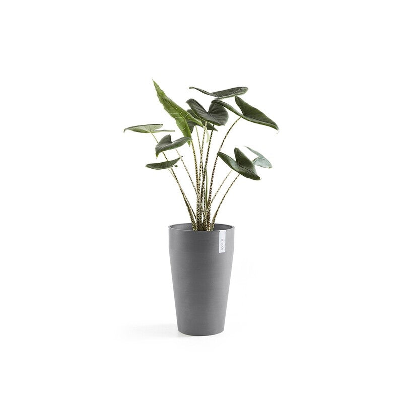Sankara Mid High 55 Grey