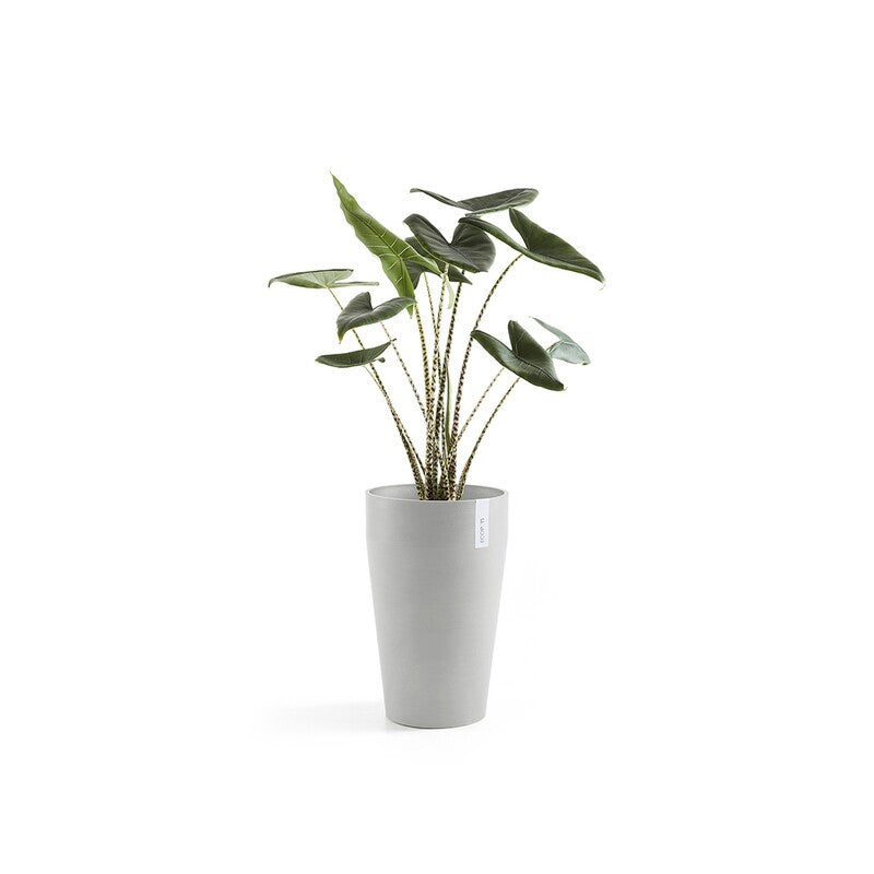Sankara Mid High 55 White Grey