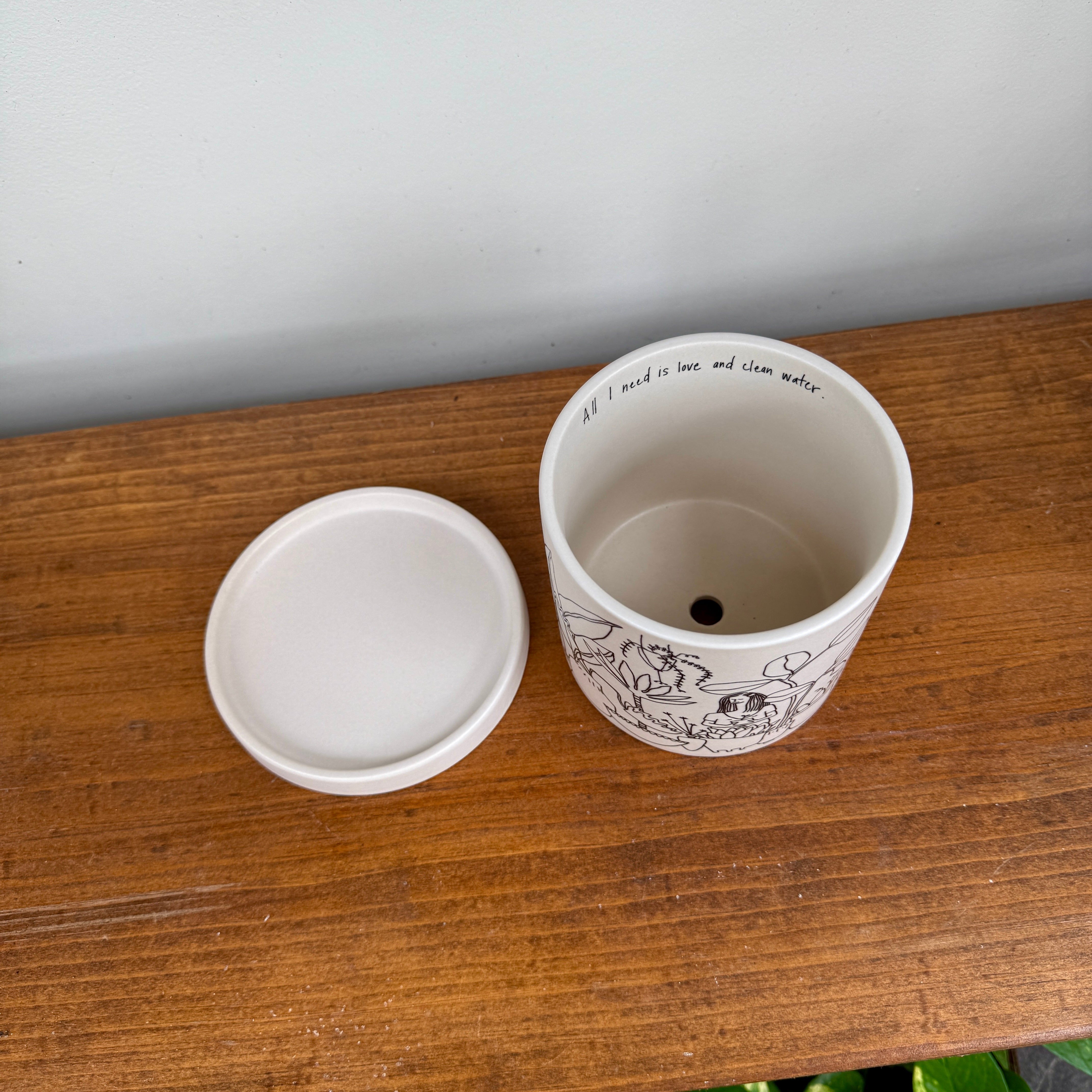 Plant Lady Pot - 4.75" x 4.75"