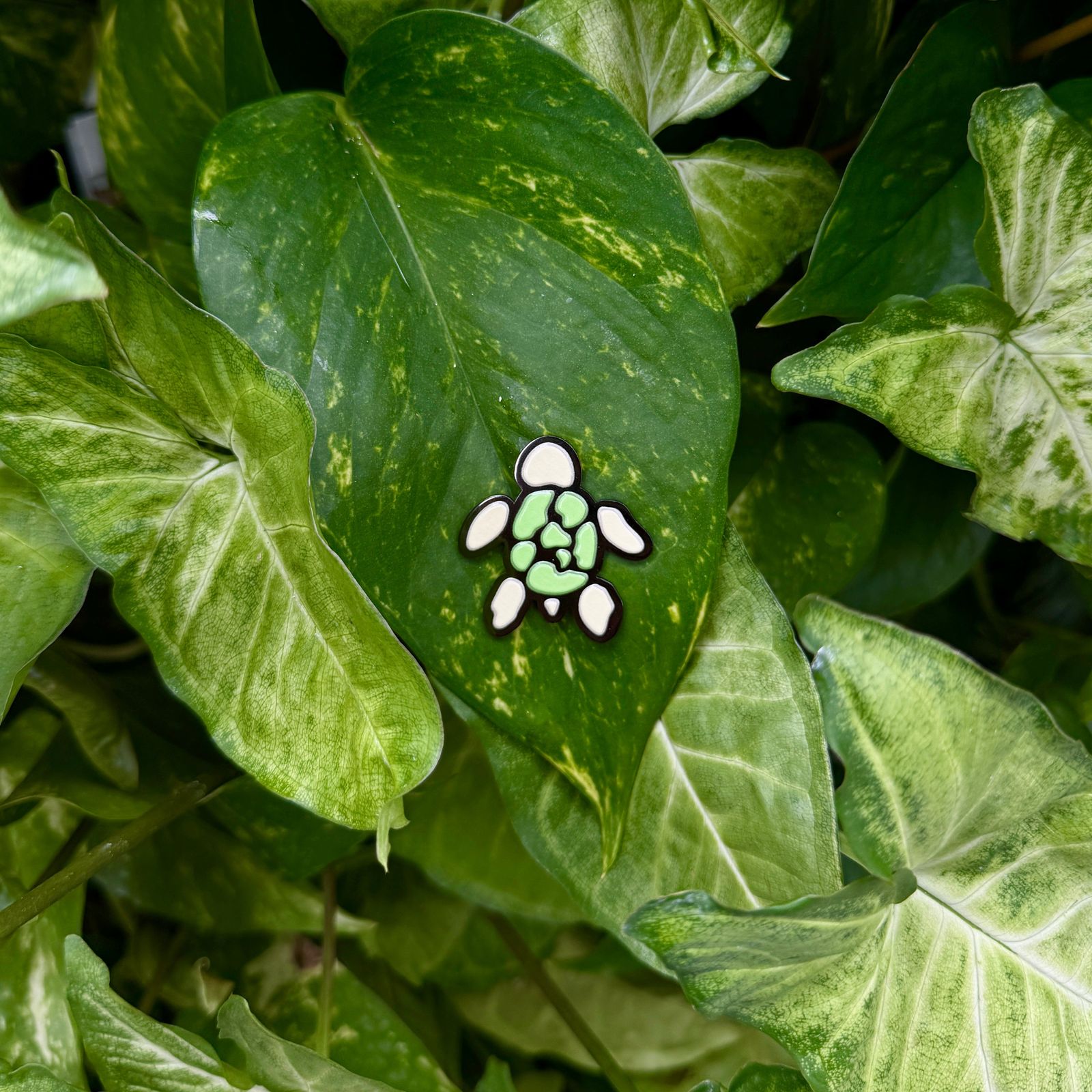 Aquatopia Turtle Pin