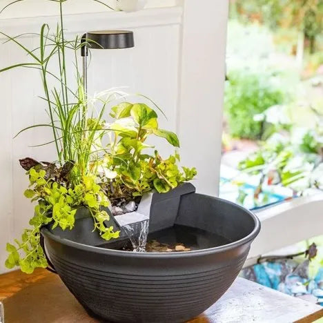 AquaGarden Tabletop Fountain Kit Mocha