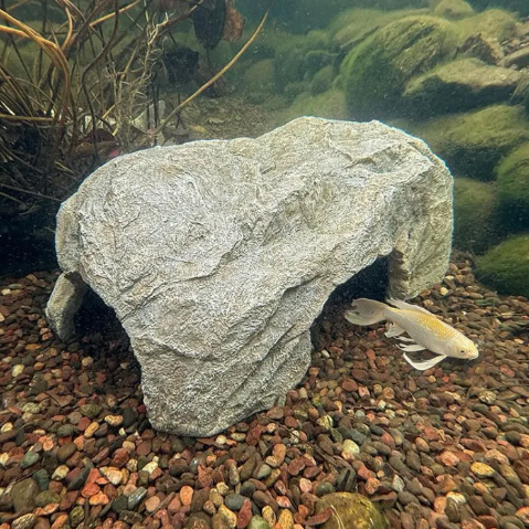 Faux Rock Fish Cave - 25" L x 15" W (63.5 x 38 cm)