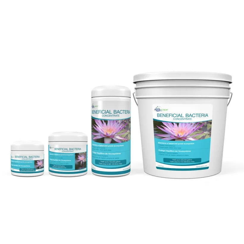 Beneficial Bacteria Concentrate - 8.8 oz / 250 g