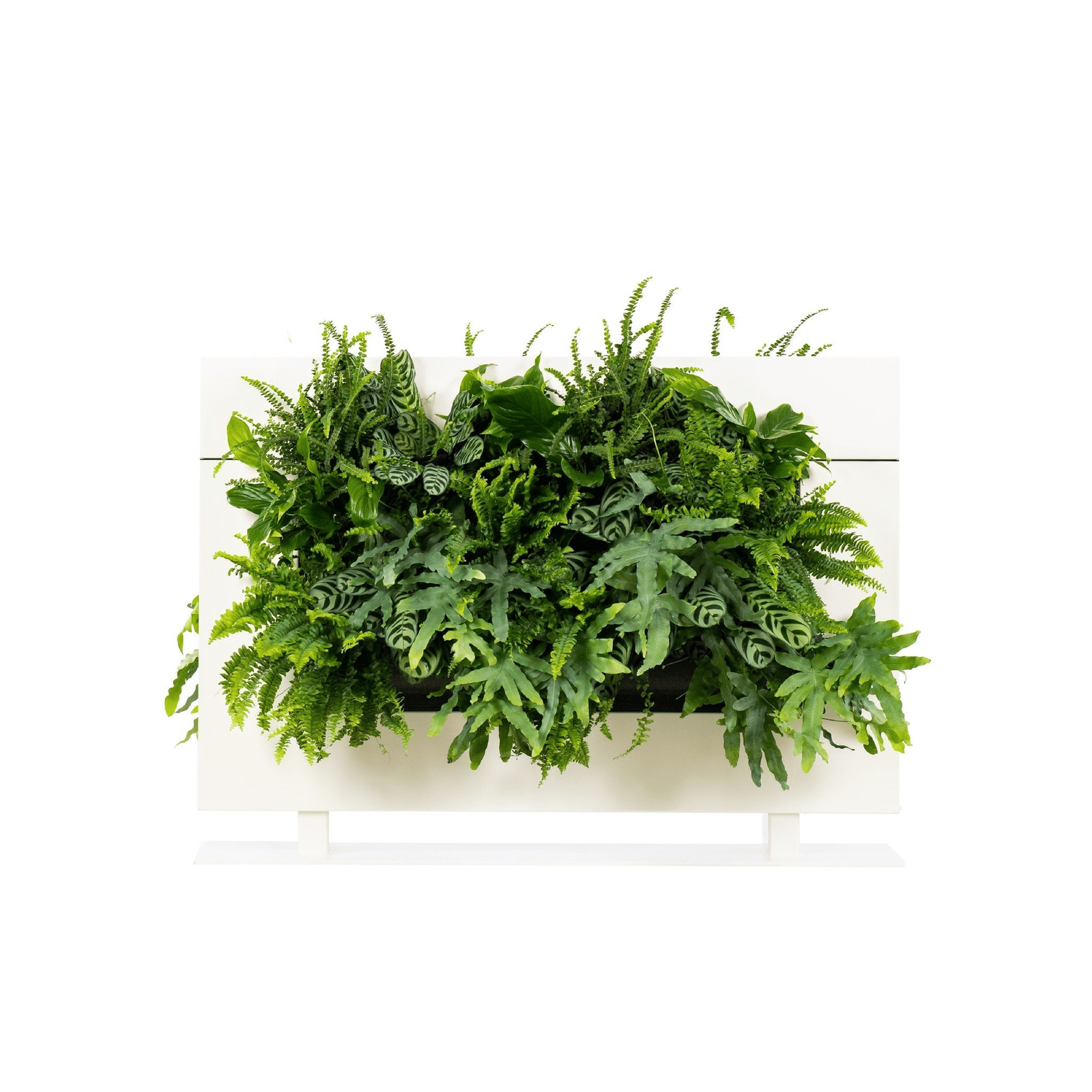 LiveDivider PLUS 1 - White