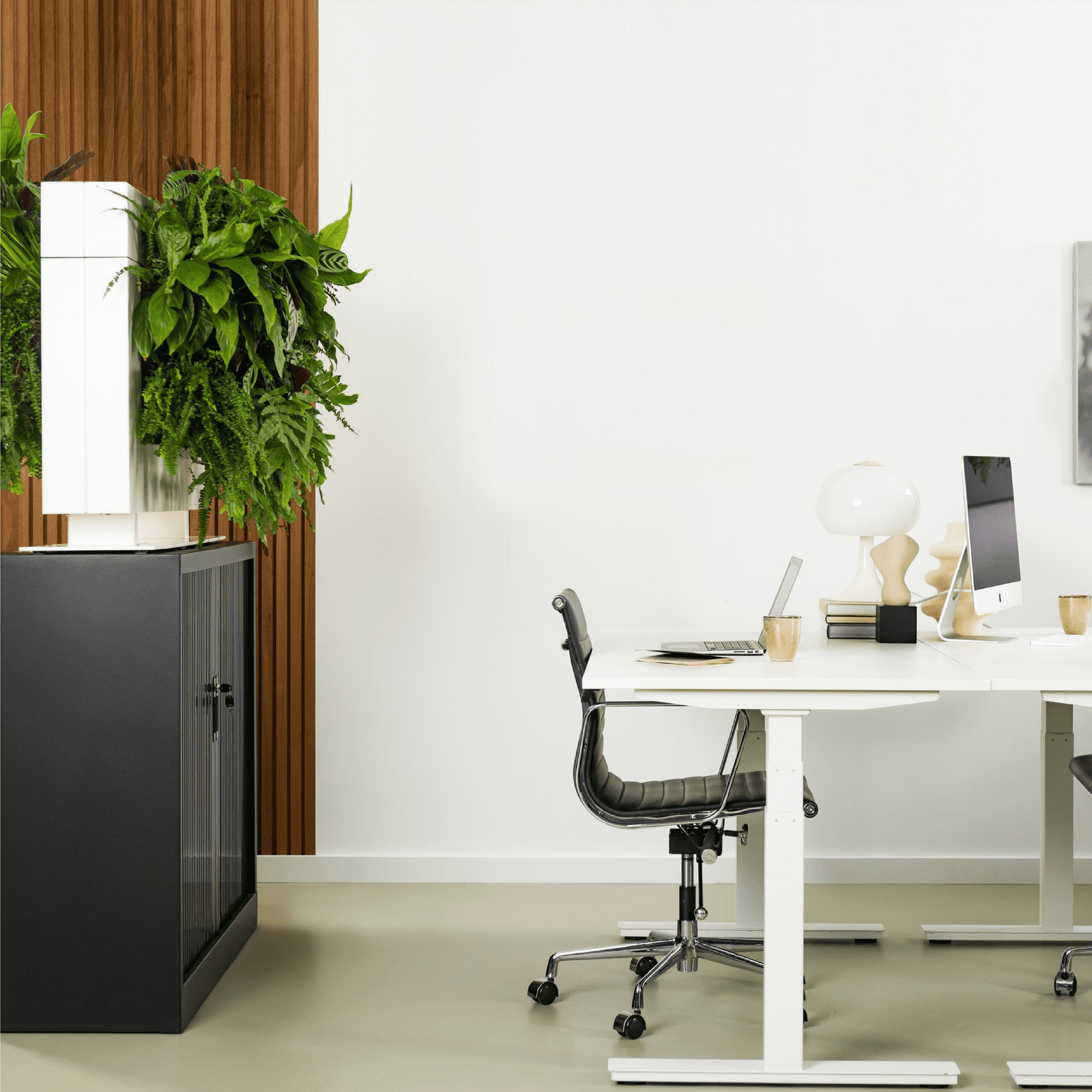 LiveDivider PLUS 1 - White