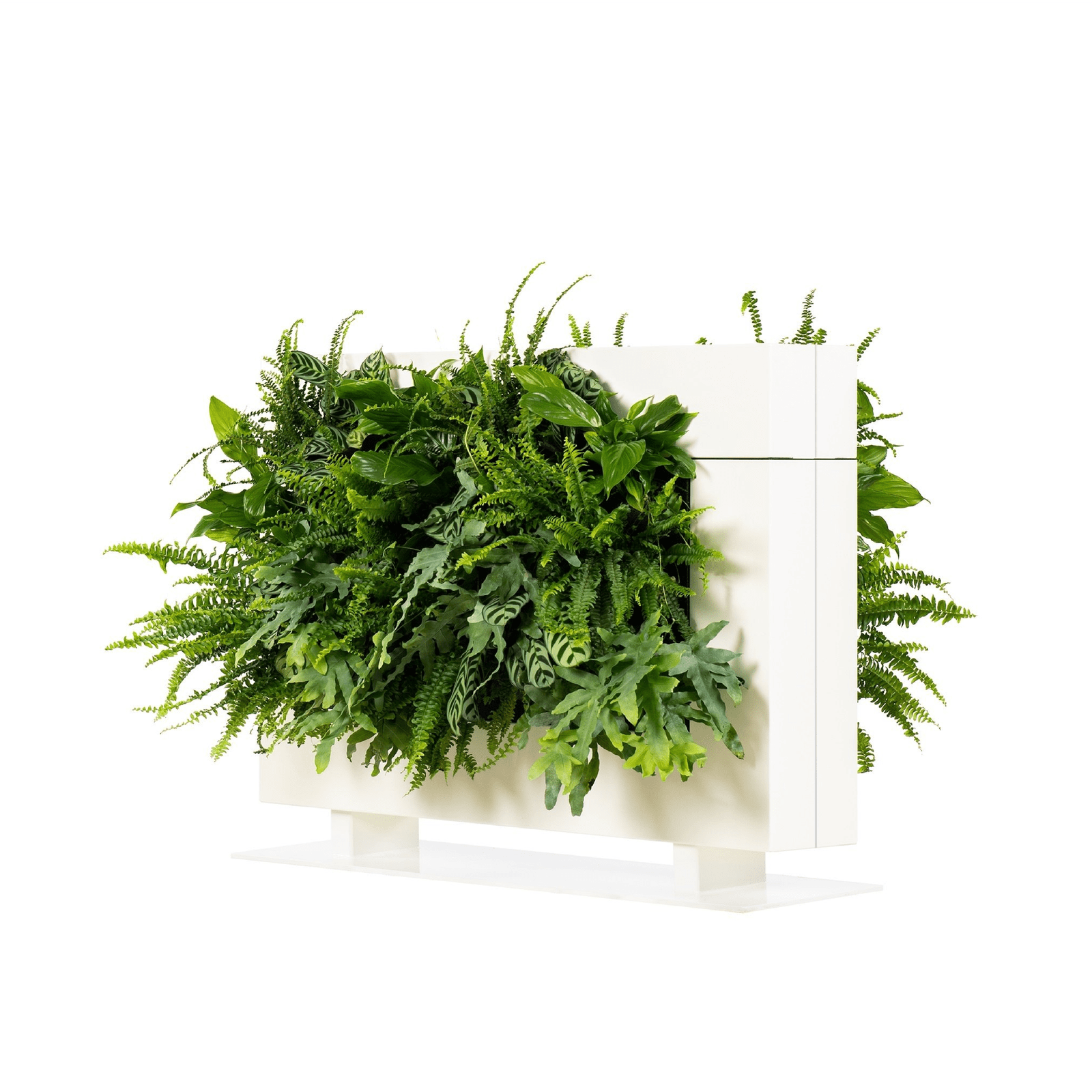 LiveDivider PLUS 1 - White