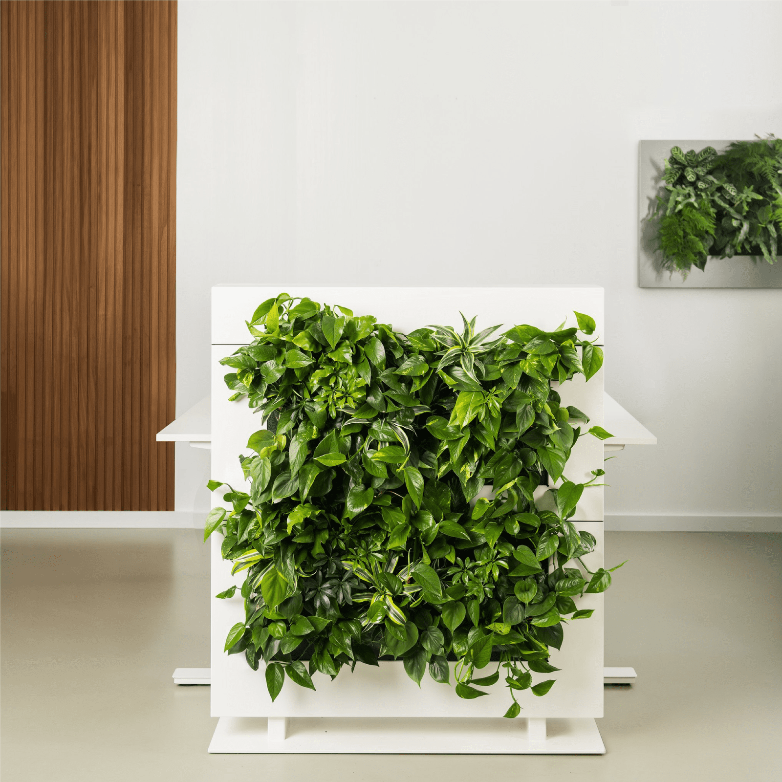 LiveDivider PLUS 2 - White