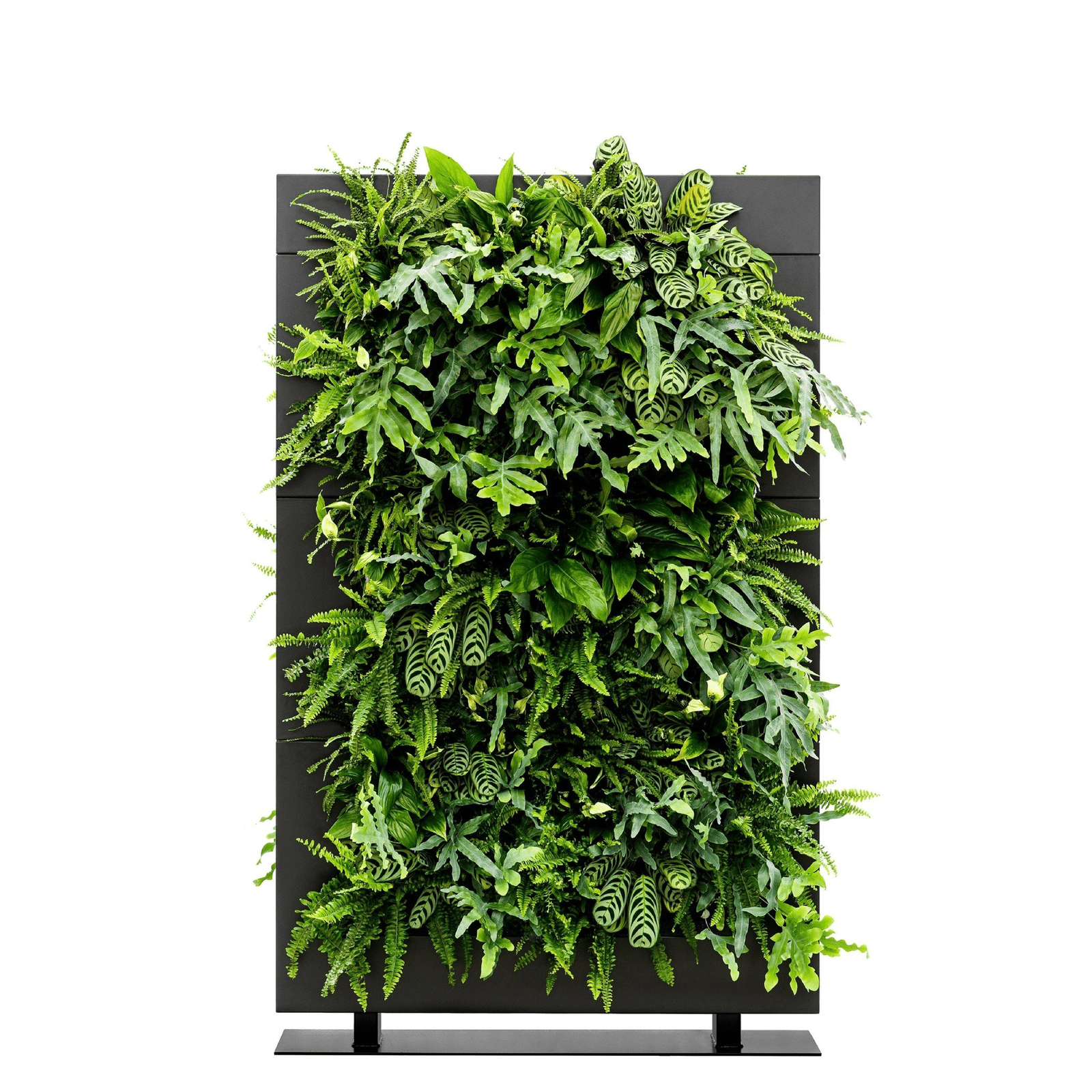 LiveDivider PLUS 3 - Black
