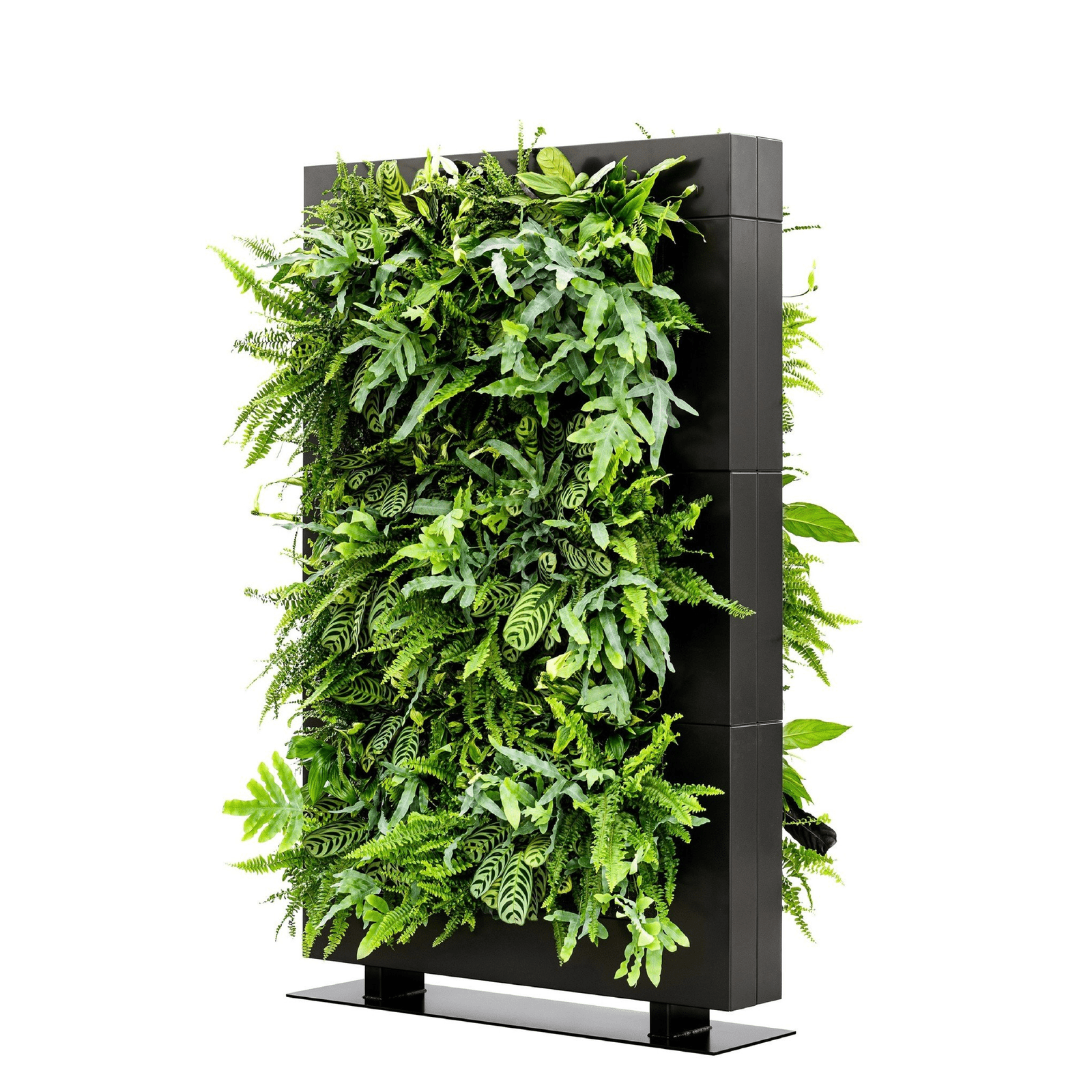LiveDivider PLUS 3 - Black