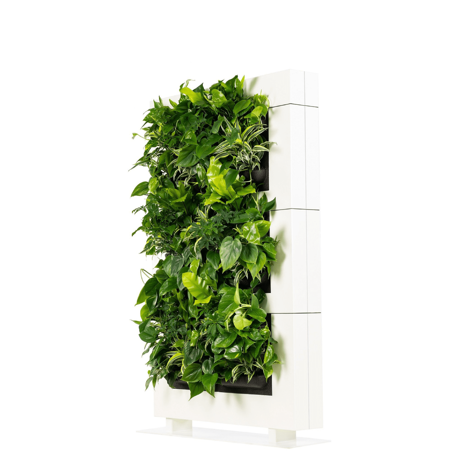 LiveDivider PLUS 3 - White