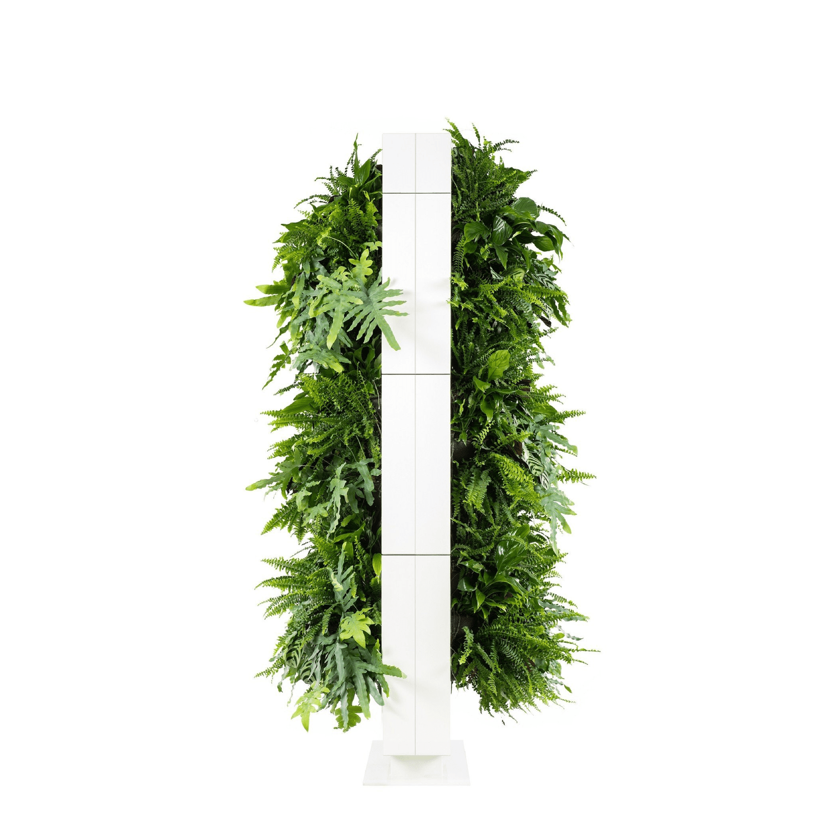 LiveDivider PLUS 3 - White