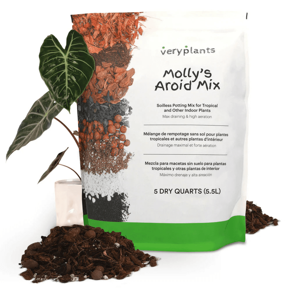 Molly's Aroid Mix - 5.5L