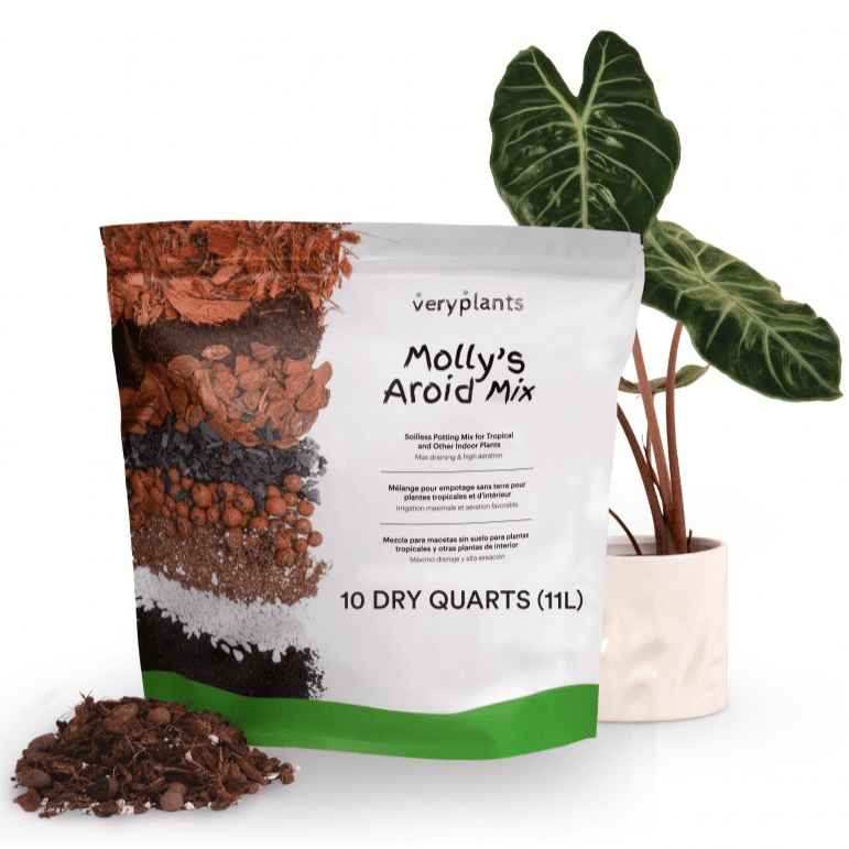 Molly's Aroid Mix - 11L