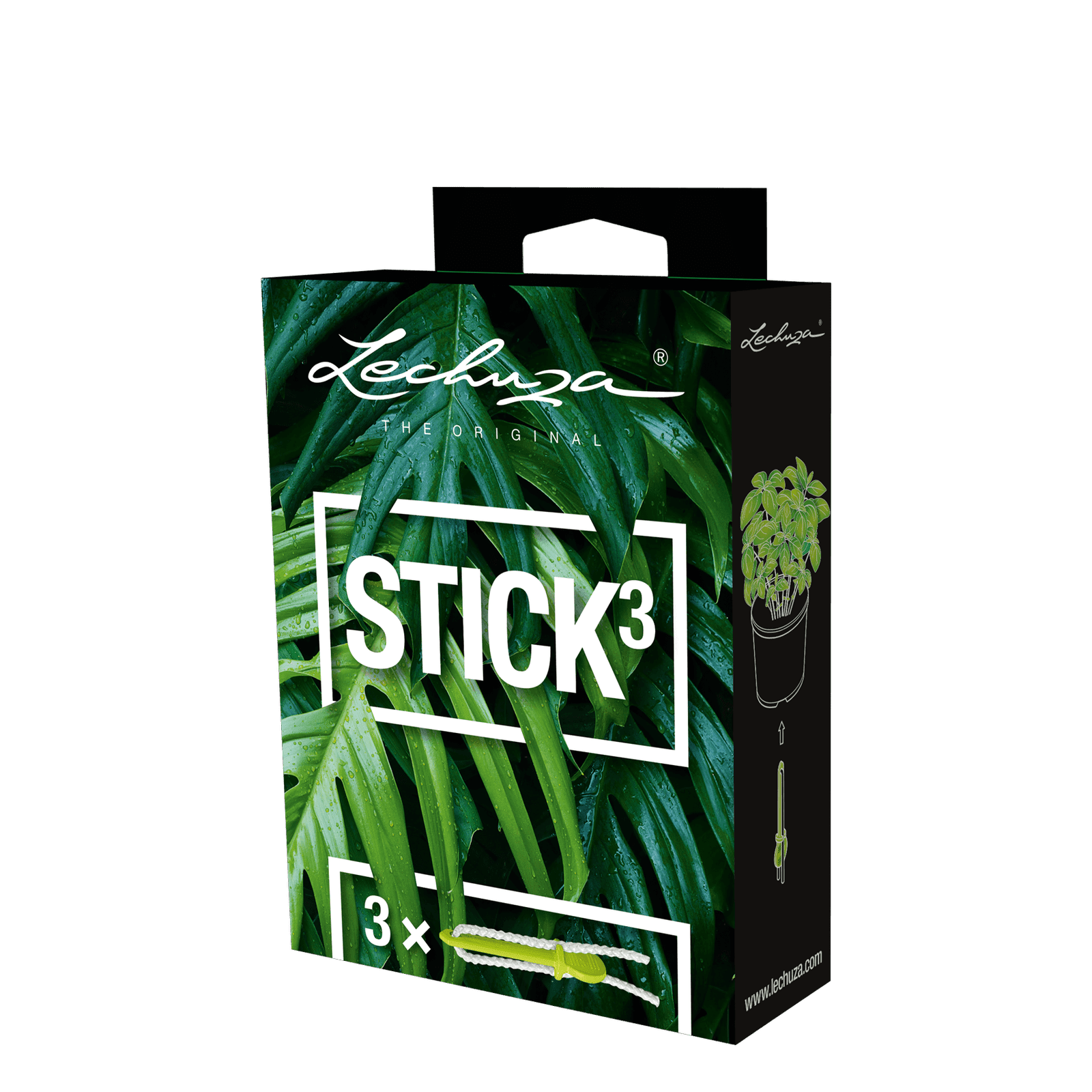 Watering Sticks (Set of 3)